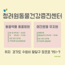 청려원동물병원