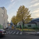 언양닥터홍마취통증의학과의원 | [내돈내산] 언양닥터홍마취통증의학과 허리 디스크ㆍ테니스엘보 치료(100대 명의)