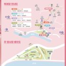 별빛정원 | 2026 광양매화축제 기간 일정 완벽 정리 주차장 셔틀버스 입장료까지 한눈에 보기