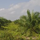 진승농장 이미지