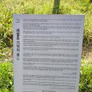 백동무궁화동산 네이버블로그