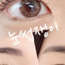 속눈썹쟁이