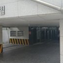 홍익늘푸른유치원 이미지