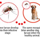 옥동약국 이미지
