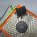 오토오아시스 안성점 이미지