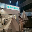 꼰디오스 | 만수동 애견동반 동네 까페 꼰디오스 GONDIOS