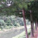 송진농장 이미지