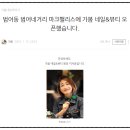 레푸스 범어점 이미지