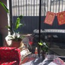 남영반점 이미지