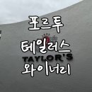 포르투 가이아 테일러스 와이너리 투어 후기 | 오르막길 실화, 가격, 한국어 오디오가이드 솔직 후기