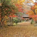 서하동복 이미지