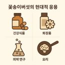 강우동물병원 | a70, 약용식물, 꽃송이버섯(Sparassis crispa, 花鬆耳), 면역 증진, 항암 작용, 항암작용, 혈당 조절...