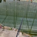 조마낚시터 이미지