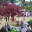 에버그린민박 이미지