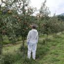 예산군농업기술센터 이미지