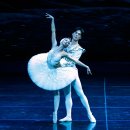 2021 수원발레축제 이미지