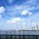 헬로멍푸드 이미지