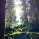 플루트(Flute) 이미지