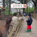 KRA 렛츠런파크제주 동물병원 | 제주 서쪽 아이와 가볼만한곳 제주도 동물원 화조원 먹이주기 체험 공연