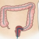 힐링기호흡 | [명상 체험] 장청뇌청 체험후기