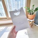 배시시 (B.acc) 이미지