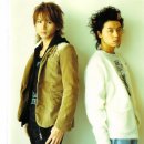 나나비펫 이미지