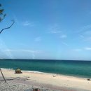 선영이네 물회 펜션 이미지