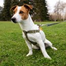 이수동물병원 이미지