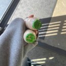 연어 솥밥이 정말 맛있던 &#39;솔솥&#39; 해운대 해리단길점