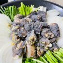 팔팔곰장어 이미지