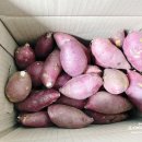 밤고구마 대림농산 고창해들녘 못난이꿀고구마 후기