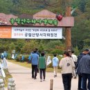 나무야놀자 이미지