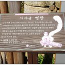 가야금 병창 이미지