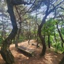 CU 춘천퇴계공단점 이미지