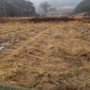 새땅공인중개사사무소 이미지