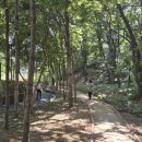 논고개로 334번길 이미지