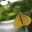제주산전