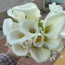 아뜰리에 | 친구 결혼 부케 말리기｜대구 오브아뜰리에 내돈내산 후기