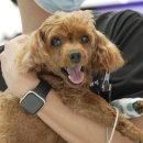 병동농장 이미지