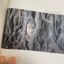 날아 | 선인장 카페 님의 책 후기 [날아 봐, 떠나 봐, 나를 봐]