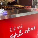 혼타코 이미지