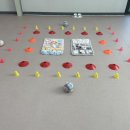 개와 집사의 시간 이미지