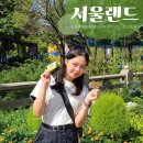 서울랜드 :: 옥토버 페스티벌 100% 즐기기 위한 이용 꿀팁 모음집(식당 카페 추천, 대중교통 가는 법...
