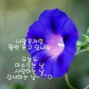 봉준호 감독의 기생충 영화 아카데미상 4관왕 이미지