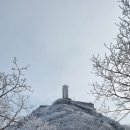 오도산자연휴양림 이미지