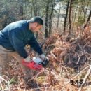 월성농장 이미지