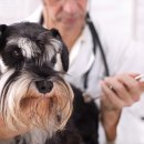 동원동물병원 이미지