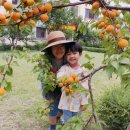 해바라기재능유치원 이미지