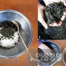 남원종자 이미지