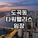 참푸드시스템 중대부고점 | 도곡동 타워팰리스 임장 후기 직접 가보고 느낀 장단점 및 투자 가치 분석